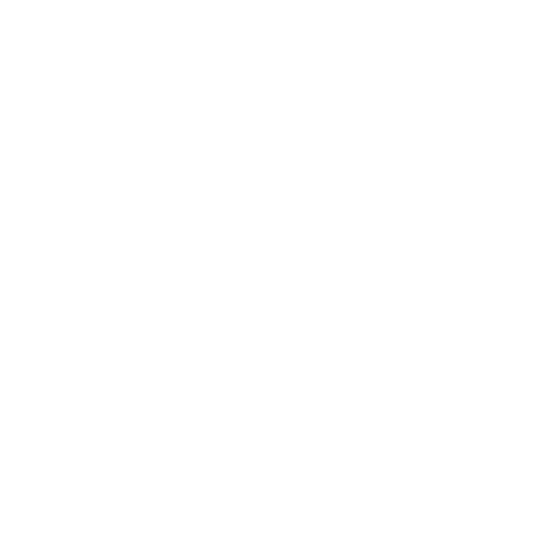 camper tour mit hund